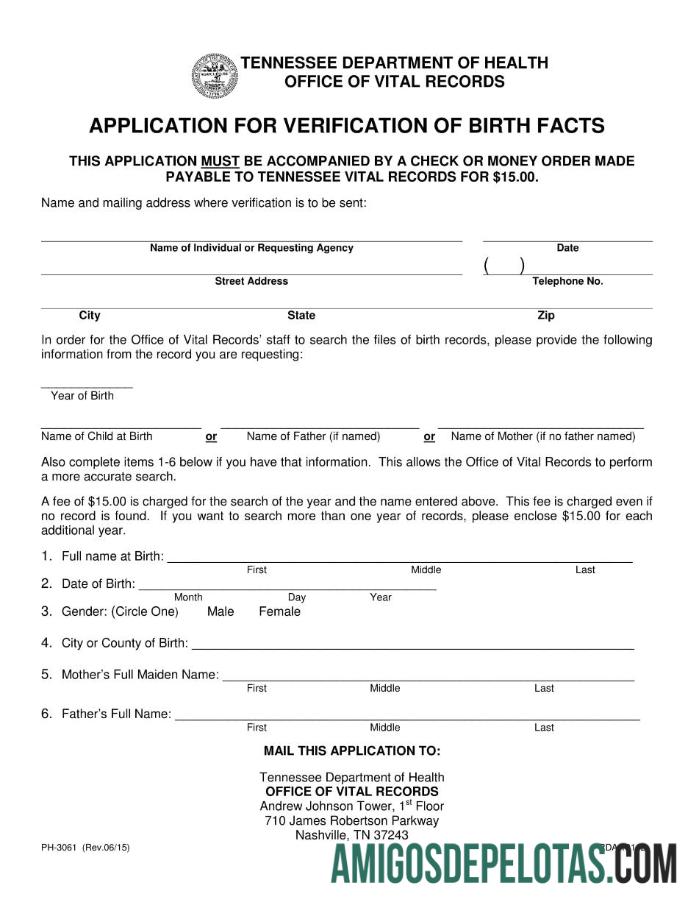 Certidão de Nascimento do Departamento de Saúde do Tennessee exemplo real